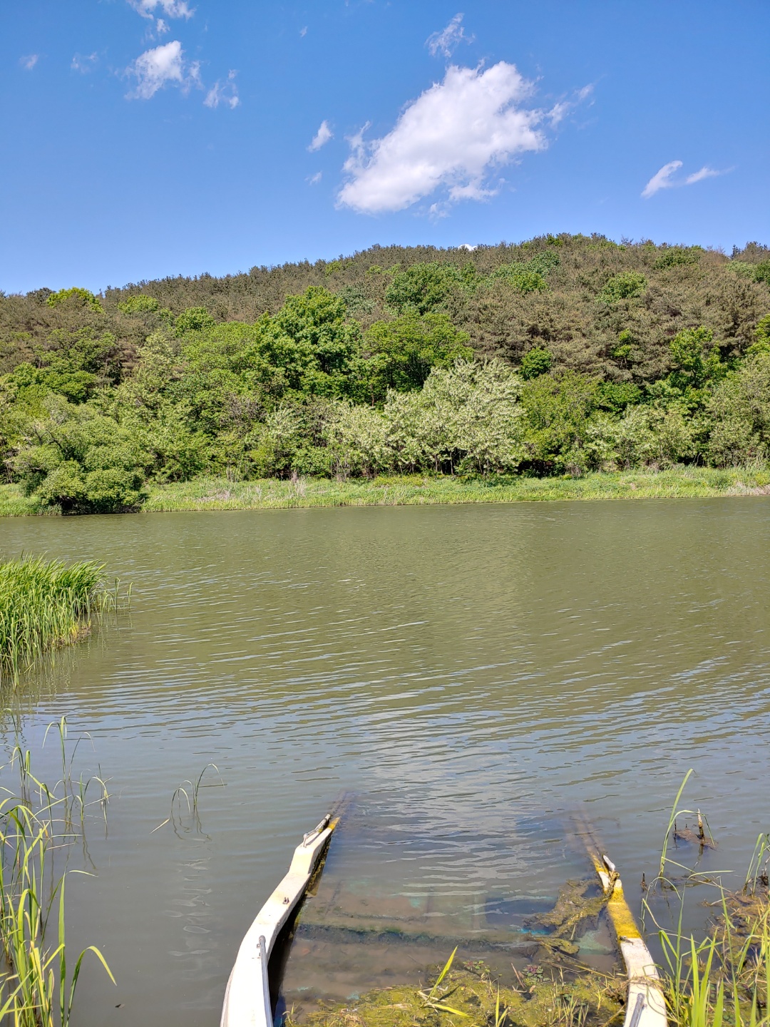 67cfaf9708db1cae40e5b0a76bc6f34a_1672732095_2343.jpg 67cfaf9708db1cae40e5b0a76bc6f34a_1672732095_2343.jpg